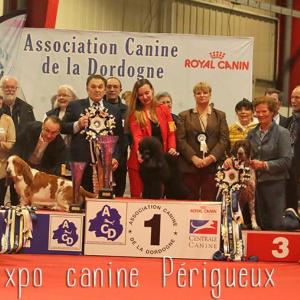 Association Canine de la Dordogne