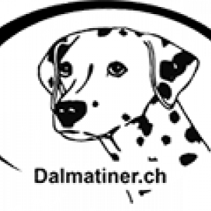 dalmatiner.ch