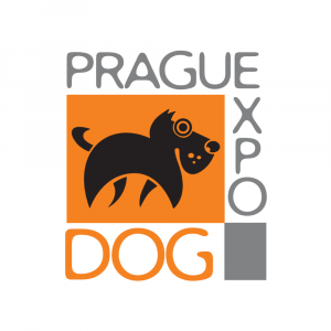 Prague expo dog