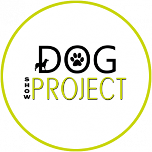 Dog show project