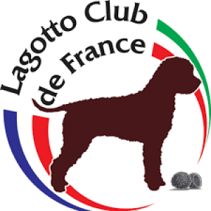 Lagotto Club de France