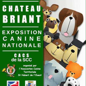 Exposition canine